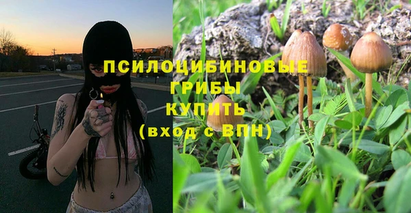 мескалин Арсеньев