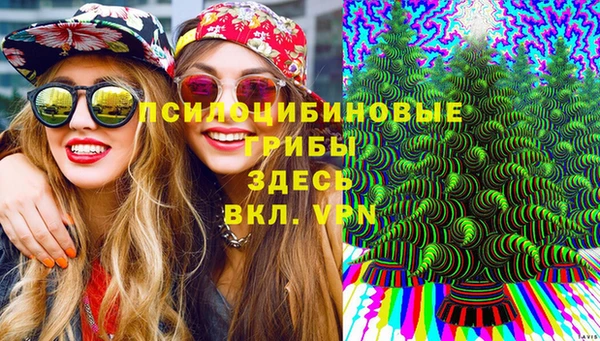 круглые Армянск