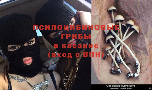 круглые Армянск