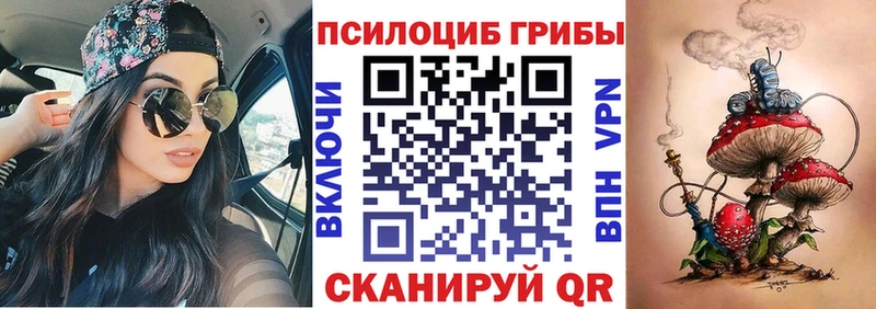 Галлюциногенные грибы Psilocybine cubensis  Краснослободск 