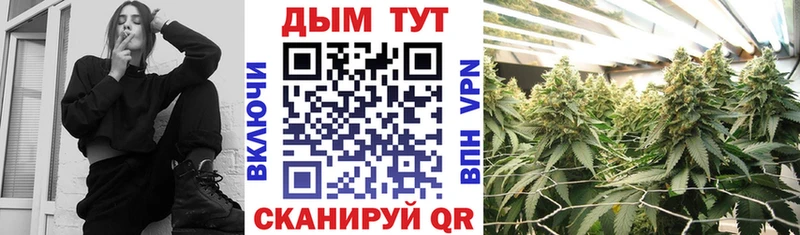 Бошки Шишки THC 21%  купить наркотики сайты  KRAKEN ССЫЛКА  Краснослободск 